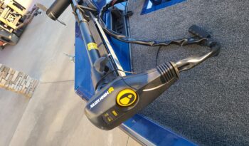 Lowe Stinger MinnKota Trolling Motor