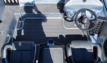 2025 Phoenix 920 Elite 1