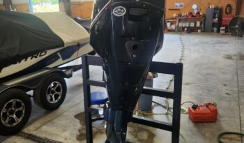 2013 Evinrude 150 ETEC