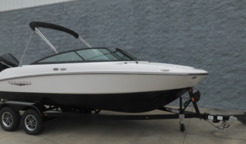 2025 Monterey M-205 (2)