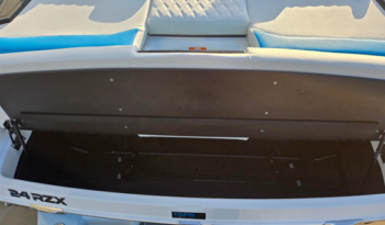 2025 Tigé 24RZX (15)