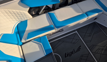 2025 Tigé 24RZX (6)