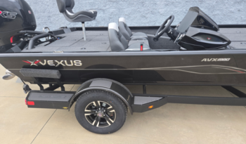 2025 Vexus AVX1980 (7)