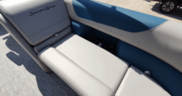 2025 SouthBay 224RS LE