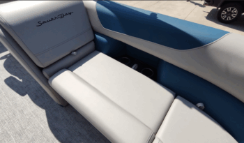 2025 SouthBay 224RS LE