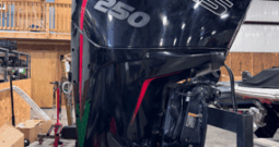 2019 Mercury 250 Pro XS 4 Stroke