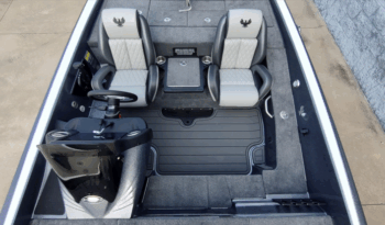 2026 Phoenix 818 Pro (5)