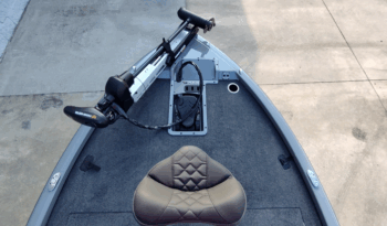 2026 Vexus AVX1980 (3)