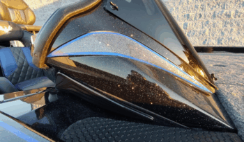 2026 Phoenix 920 Elite X (6)