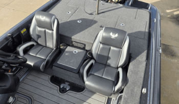 2023 Phoenix 920 Elite (8)