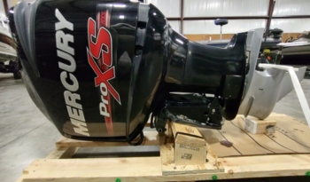 2017 Mercury 250 Pro XS (3)