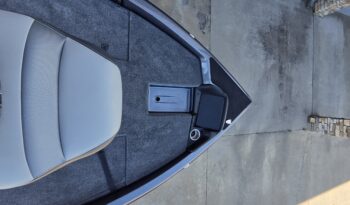 2026 Phoenix 818 Pro (8)