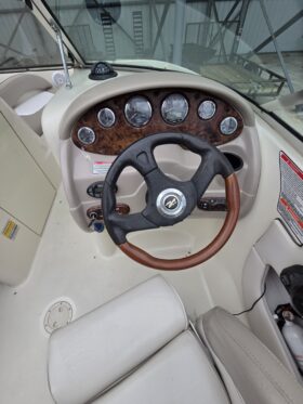 2004 Sea Ray 200 Sundeck