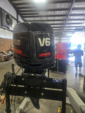 1994 Johnson 225 Venom