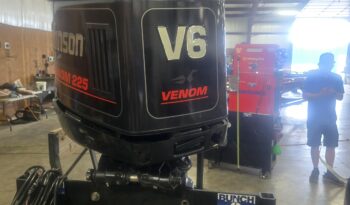 1994 Johnson 225 Venom (4)