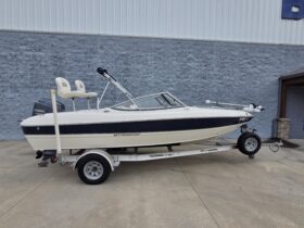2013 Stingray 191 LX