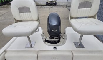 2013 Stingray 191LX (10)