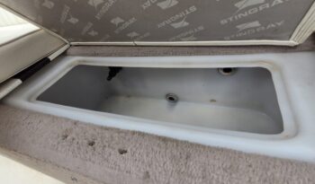 2013 Stingray 191LX (11)