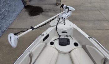 2013 Stingray 191LX (12)