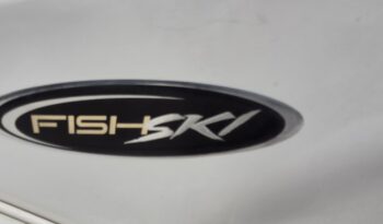 2013 Stingray 191LX (13)