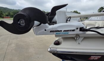 2013 Stingray 191LX (14)