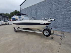 2013 Stingray 191 LX