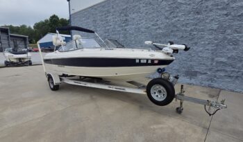 2013 Stingray 191LX (2)