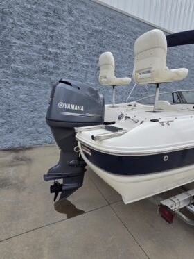 2013 Stingray 191 LX
