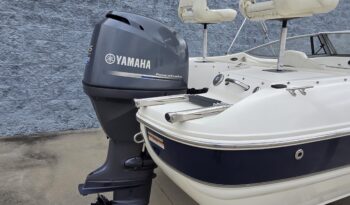 2013 Stingray 191LX (3)