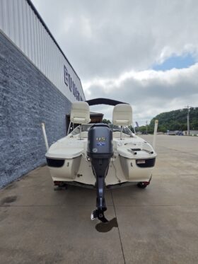 2013 Stingray 191 LX