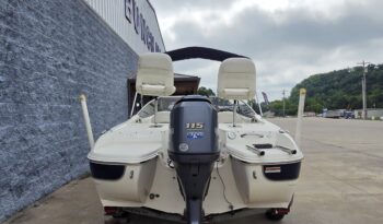 2013 Stingray 191LX (4)