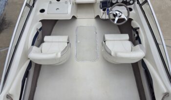2013 Stingray 191LX (5)