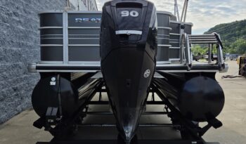 2018 Ranger Reata RP200F (5)