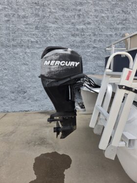2013 Bennington 20SFX
