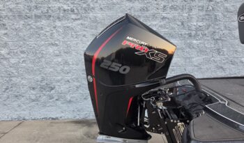 2024 Triton 20XP